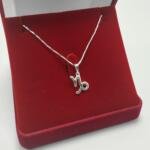 Colar Prata Signo Capricórnio