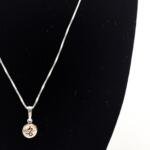 Colar Prata Signo Capricórnio 2